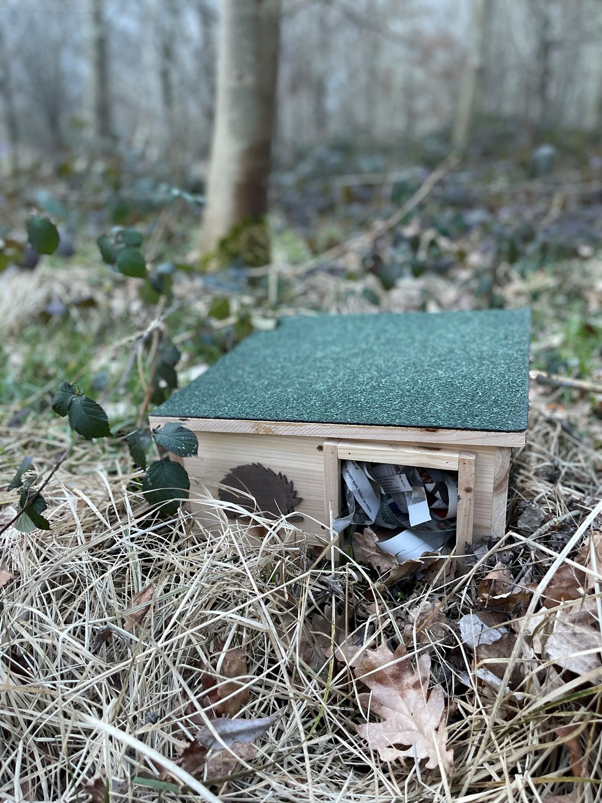 Hedgehog House Scaled